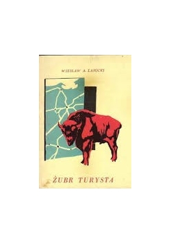 Żubr turysta
