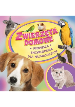 Zwierzęta domowe