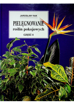 Pielęgnowanie roślin pokojowych część II