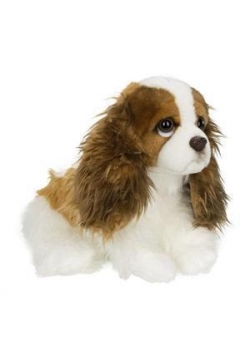 King Charles Spaniel 20 cm ACP