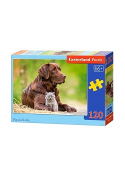 Puzzle 120 Big a little CASTOR