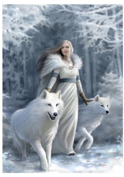 Puzzle 1000 Anne Stokes Collection Winter G