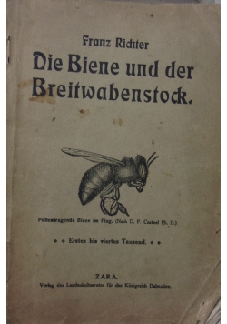 Die Biene und der Breitwabenstock, 1913 r.