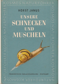 Unsere Schnecken und Muscheln
