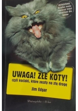 Uwaga Złe koty czyli kociaki które zeszły na złą drogę
