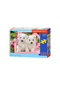 Puzzle White Terrier Puppies 120