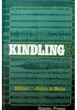 Kindling 3