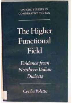 The Higher Functional Field