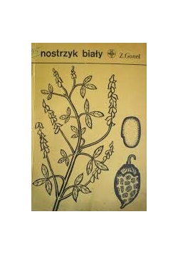 Nostrzyk biały