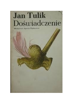 Doświadczenie