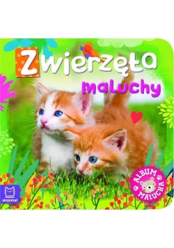 Album malucha. Zwierzęta maluchy