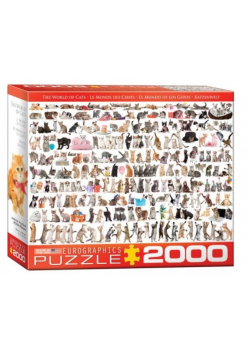 Puzzle 2000 Świat kotów