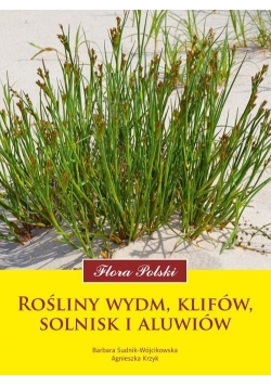 Flora Polski. Rośliny wydm, klifów, solnisk