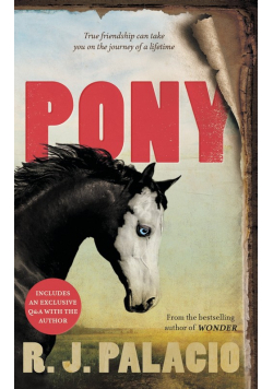 Pony