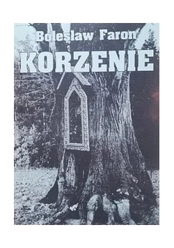 Korzenie
