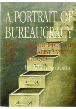 A Portrait of Bureaucracy