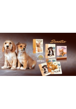 Zeszyt A5/16K linia 1070 Sweetie (20szt)
