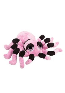 Tarantula różowa RUSS