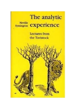 The analytic experience