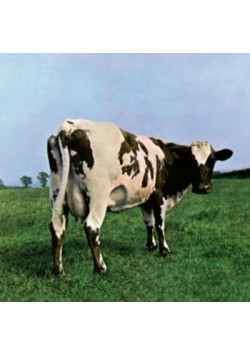 Atom Heart Mother Płyta Winylowa