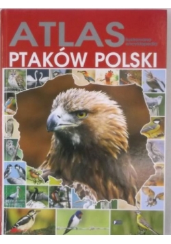 Atlas. Ilustrowana encyklopedia ptaków Polski