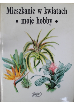 Mieszkanie w kwitach Moje hobby