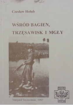 Wśród bagien trzęsawisk i  mgły
