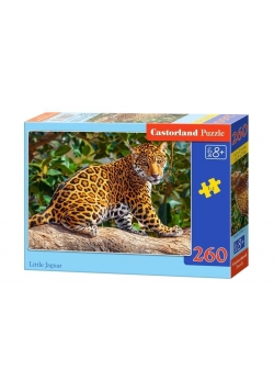 Puzzle 260 Little Jaguar CASTOR