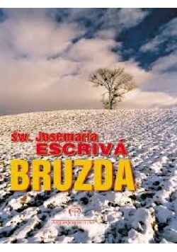 Bruzda miniatura