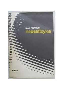 Metafizyka