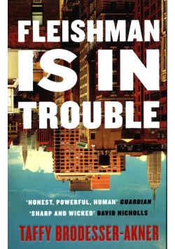 Fleishman Is in Trouble
