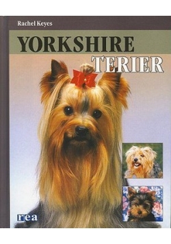 Yorkshire terier