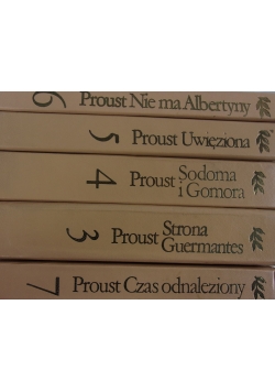 W poszukiwaniu straconego czasu. Zestaw 5 książek