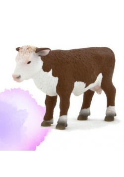 Cielę rasy Hereford stojące ANIMAL PLANET