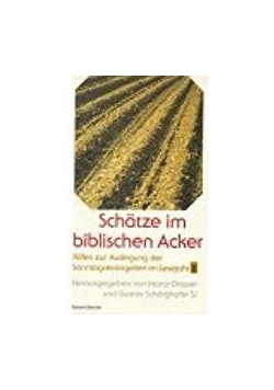 Schatze im biblischen Acker