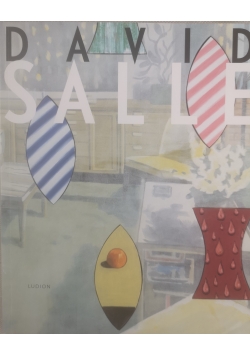 David Salle