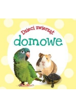 Dzieci zwierząt - domowe