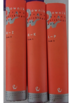Słownik języka  polskiego 1 - 3
