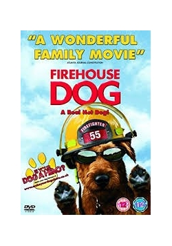 Firehouse dog, DVD