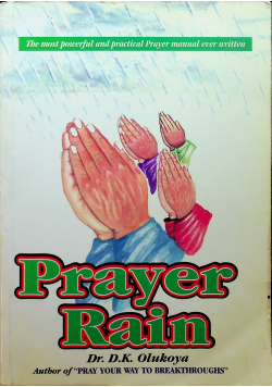 Player Rain
